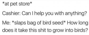 bird_seed.jpg