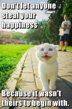 cat happiness.jpg