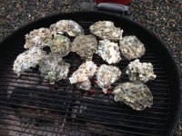 john oysters on grill.jpg