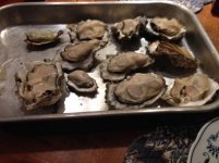 john oysters in pan.jpg