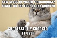 cat glass of water.jpg