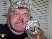 cat foil hat.jpg