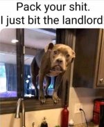 bit_landlord.jpg