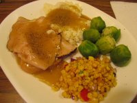 Turkey & Gravy.jpg