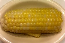 corn_072619_IMG_6050.JPG