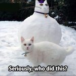 caturday559.jpg