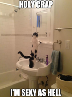 caturday562.png