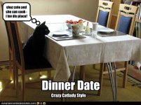 cat-has-date.jpg