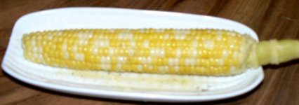 corn_handle_082309_P1030801.JPG