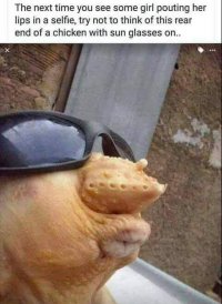 FB_IMG_1694994031768.jpg
