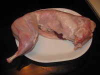 Rabbit - 4- Pounder.jpg