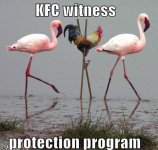 funny-pictures-kfc-chicken-stilts-f.jpg