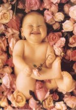 2300-8254~Baby-in-Roses-Posters[1].jpg