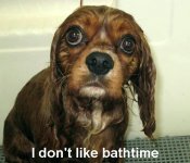 buddy bath I don't like.JPG