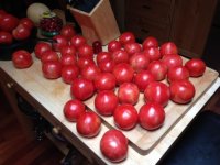 #2017 Tomatoes II.jpg