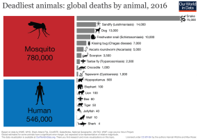 Deadliest-animals-01.png