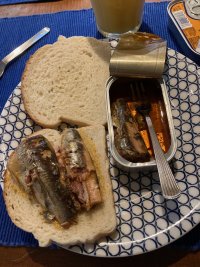 IMG_3494.jpeg