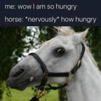 1000038320.jpg