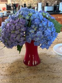IMG_9155.JPEG