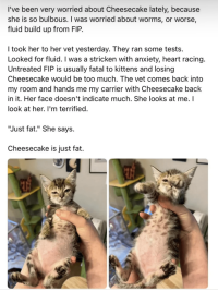 1751832145531.png
