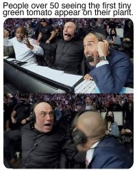 1000039971.jpg