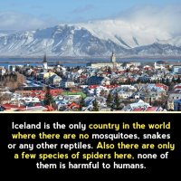 DYK948.jpg