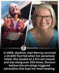 DYK940.jpg