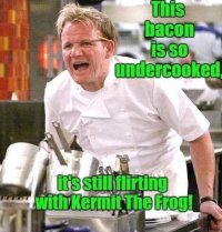 IMG_2519.jpeg