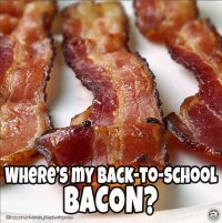 IMG_2554.jpeg