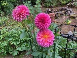 IMG_4644.jpeg