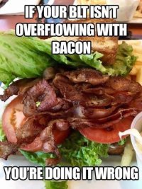 IMG_2659.jpeg