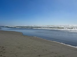 IMG_9264.JPEG