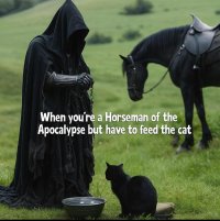 Cat apocalypse.jpg