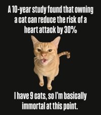 Cat heart attack.jpg