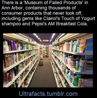IMG_2696.jpeg