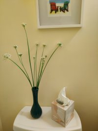 Chives.jpg