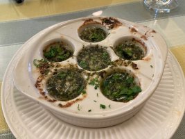 IMG_4719.jpeg