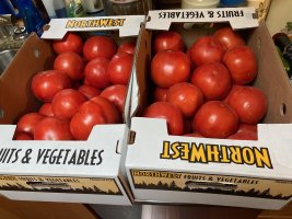 IMG_4736.jpeg