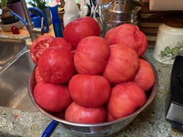 IMG_4738.jpeg