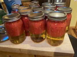 IMG_4751.jpeg