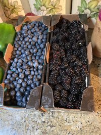 IMG_4734.jpeg