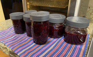IMG_4750.jpeg