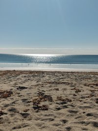 IMG_20250830_092118.jpg
