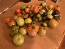 IMG_4853.jpeg