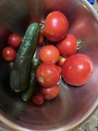 IMG_4855.jpeg