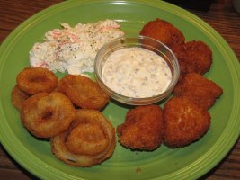 Scallops 9-12-25.JPG