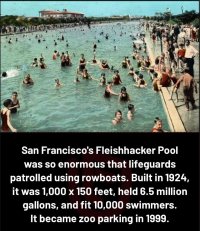 DYK922.jpg