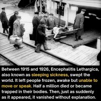 DYK921.jpg