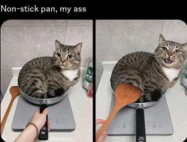 Cat non stick pan.jpg