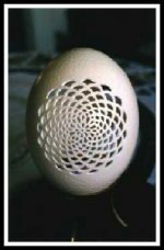 Egg1.jpg